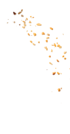 © Кондитерский Дом "Вацак" - изображение 15