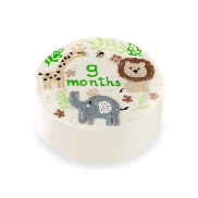 Бенто торт &laquo;Zoo&raquo; - 1 изображение