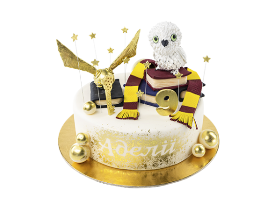 Торт по мотивам фильма «Harry Potter»